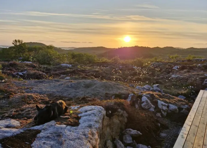 Fredheim, Northern Light Lodge Laukvik